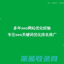SEO网站优化公司