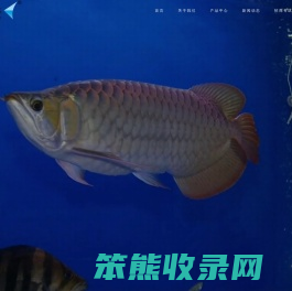 光特亿