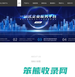 湖南大智慧