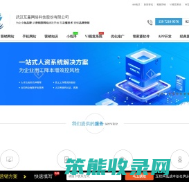 武汉做网站