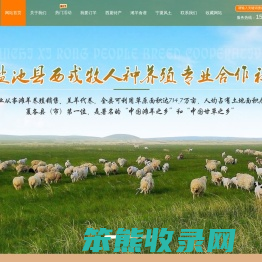 盐池滩羊,宁夏土羊,草原羊,西夏羊,滩羊养殖