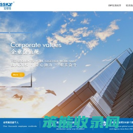 深圳市宝视佳科技有限公司