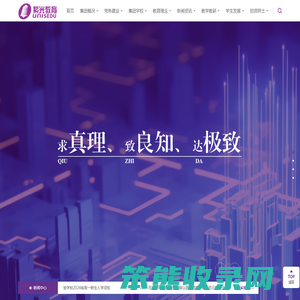 紫光教育集团原为清华紫光集团的下属教育板块,定位于“平民精英教育