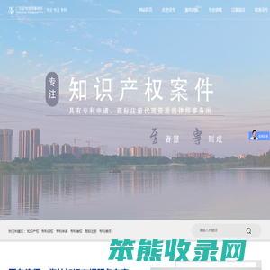 专利诉讼