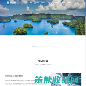 深圳市联成远洋渔业集团