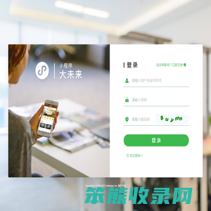 小程序开发
