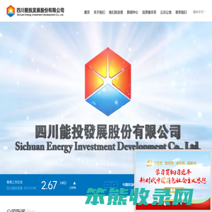 四川能投发展股份有限公司