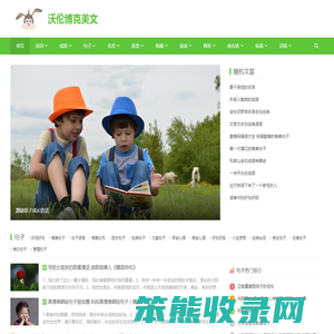 沃伦博克Voaloboka文学