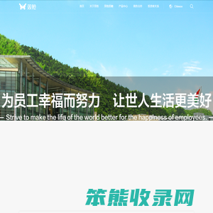 双枪科技股份有限公司