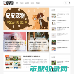 皮皮宠物