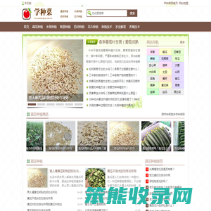 学种菜网