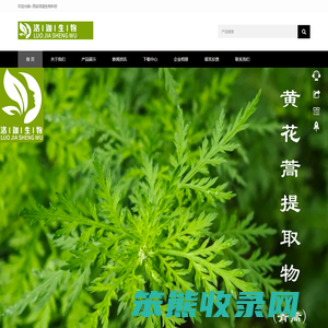 首页