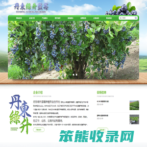 丹东绿升蓝莓种植专业合作社