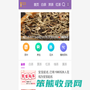 茶文化网