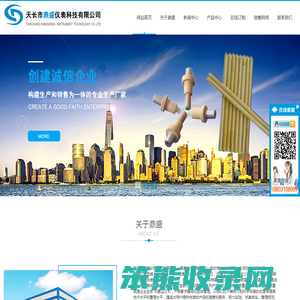 天长市鼎盛仪表科技有限公司