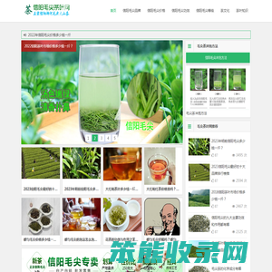 信阳毛尖价格