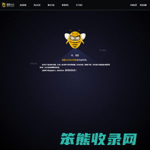 蜂巢SAAS