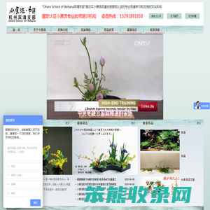 双清花道