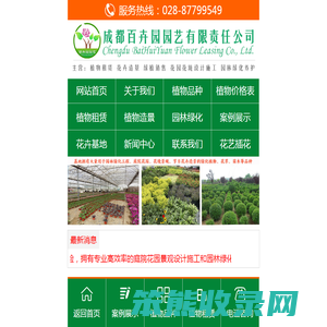 成都绿植租赁