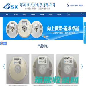 深圳市上兴电子有限公司