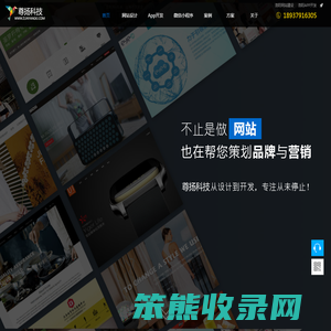 专业软件开发服务