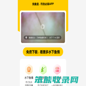 找鱼宝