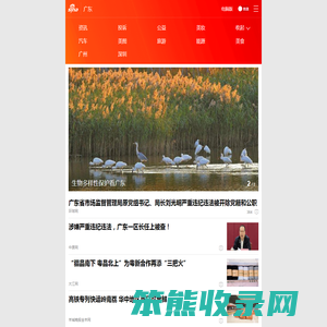 新浪广东