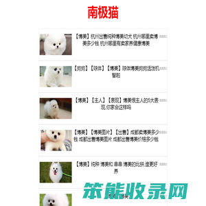 宠爱网