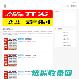 软件定制