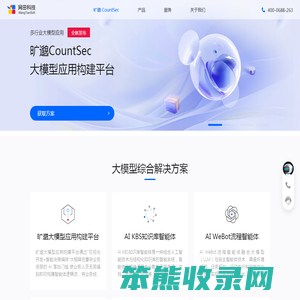 大模型应用解决方案服务商