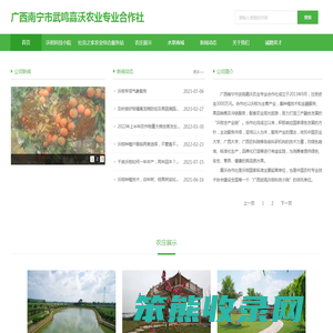 我的网站