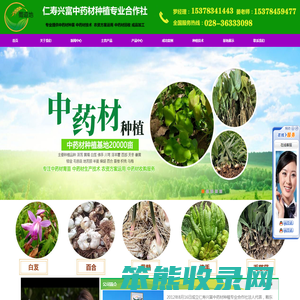 毛慈菇种苗,天冬种苗,中药材种苗,百合种苗,黄精种苗