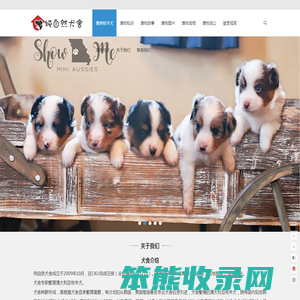澳牧中国CKU注册专业澳洲牧羊犬澳牧幼犬繁殖基地