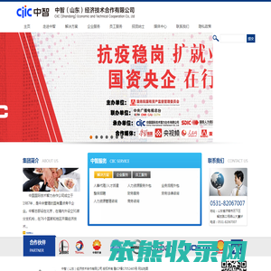 中智（山东）经济技术合作有限公司