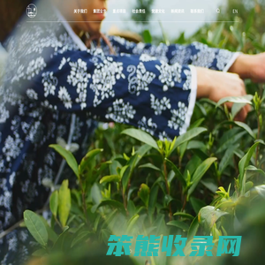 海南润森鑫祥投资集团有限公司