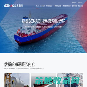 上海散货船公司