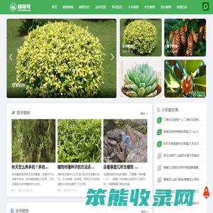 植物号