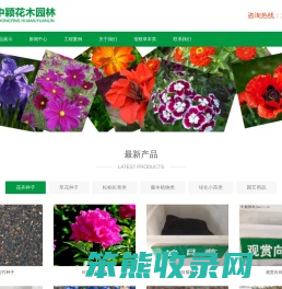 草坪种子