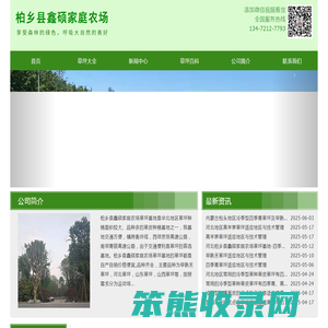 河北省石家庄市栾城区草坪种植基地