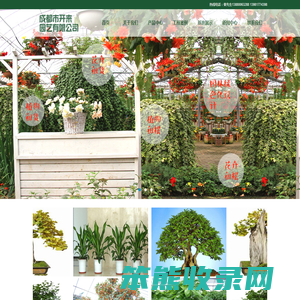成都植物租摆