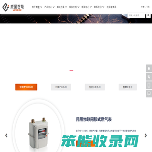 浙江威星智能仪表股份有限公司