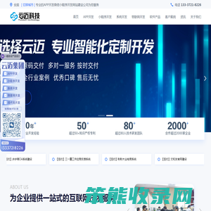 软件开发