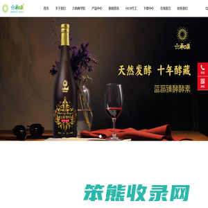 以酵素为载体