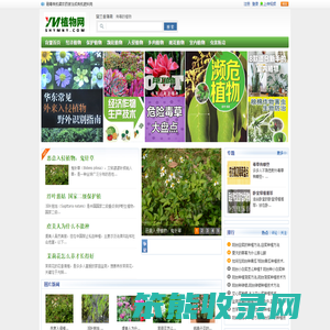 农业种植技术,植物花卉图片,家居绿化
