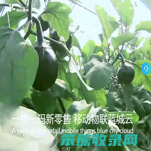 新零售系统解决方案,服务热线:022