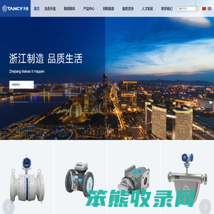天信仪表集团有限公司