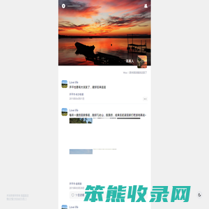 我的避风港