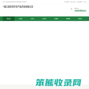 东坪高山茶
