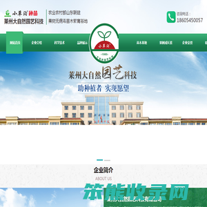 福星苹果苗