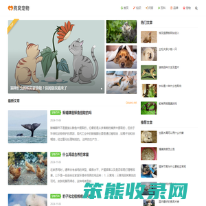 狗窝宠物网